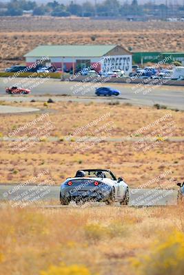 media/Nov-16-2024-Extreme Speed (Sat) [[6587d07cc4]]/Gold Group/Session 1 (Turn 2)/